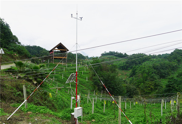 小型氣象站多少錢(qián)？風(fēng)途小型氣象站報(bào)價(jià)