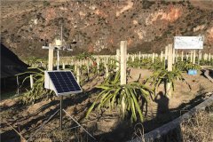 農(nóng)業(yè)氣象站如何做好防雷工作？