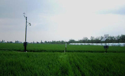 農(nóng)業(yè)小氣候觀測(cè)設(shè)備在農(nóng)業(yè)方面發(fā)揮重要作用