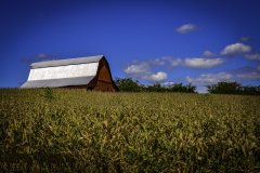 氣象站指的是什么？