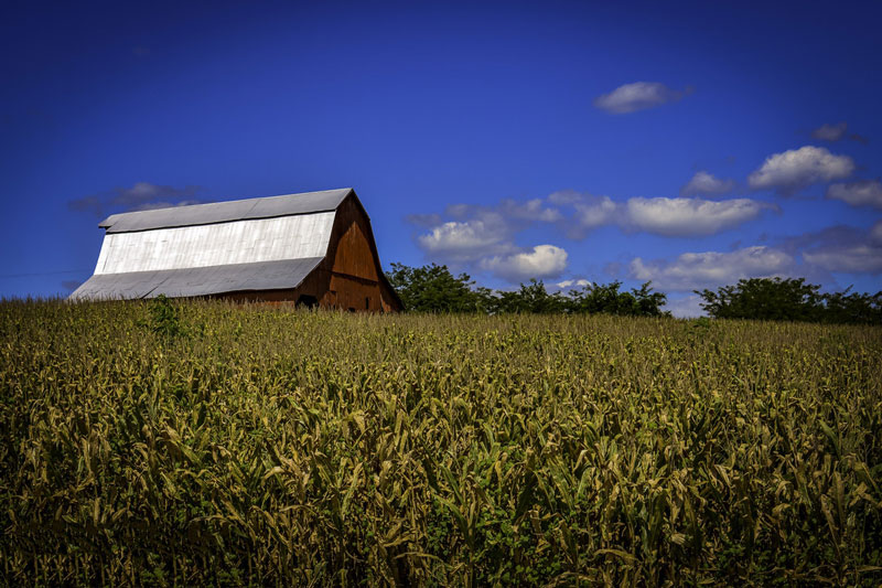 氣象站指的是什么？