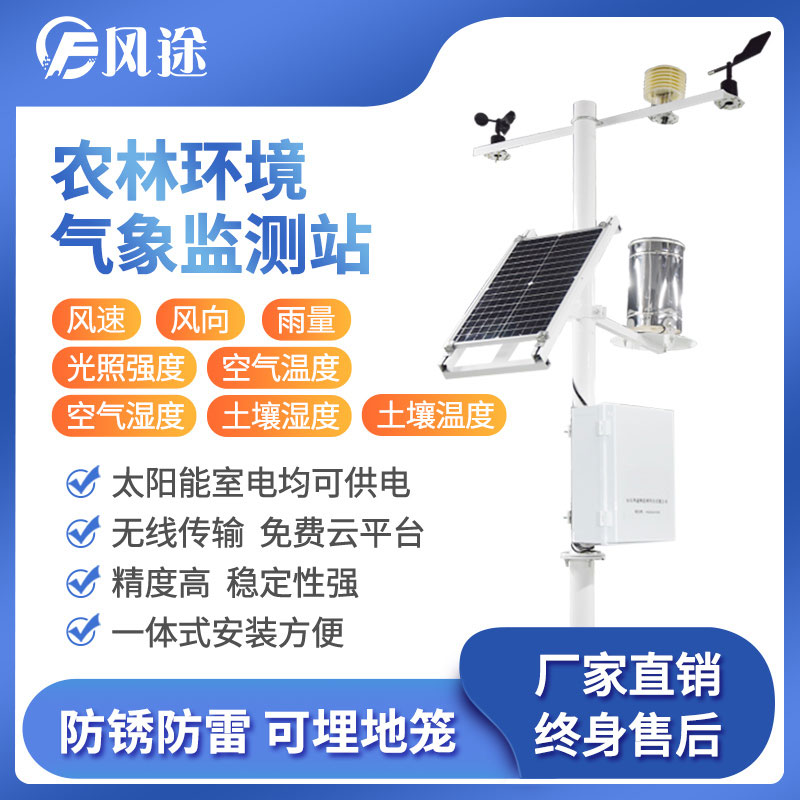 沙棘果，致富新良機(jī)